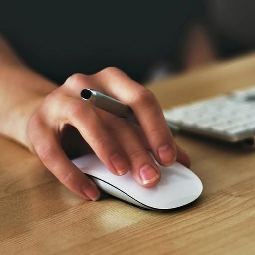 Servicios Profesionales